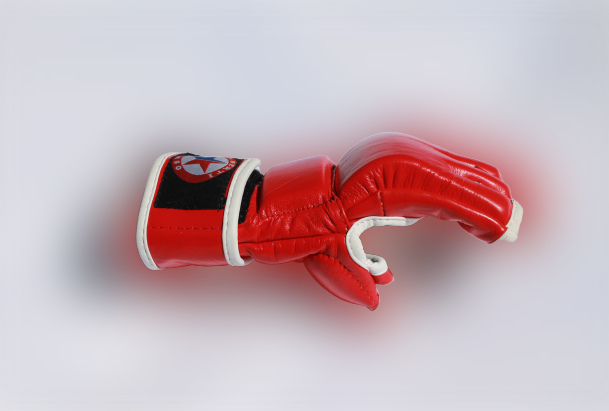 Gants Sambo liseret blanc